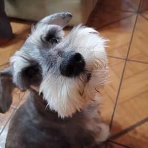 Meet your Posher, Alejandra